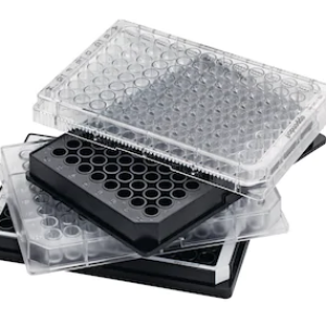 Mikroplattor / PCR-plattor Eppendorf - Mikroplattor för analys/läsare