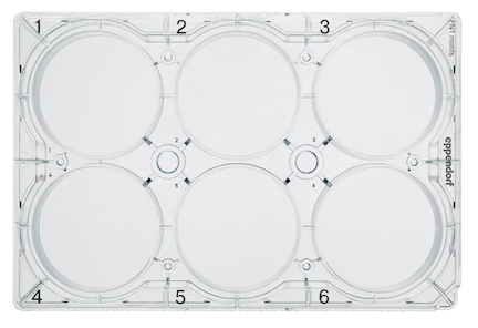 Eppendorf - CCCadvanced® FN1-motiv Cellodlingsplattor