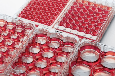 Eppendorf - Cellodlingsplattor