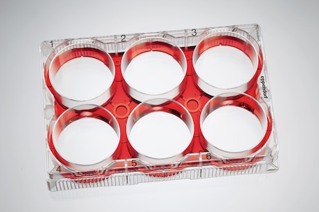 Eppendorf - Cellodlingsplattor