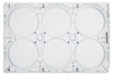 Eppendorf - Cellodlingsplattor