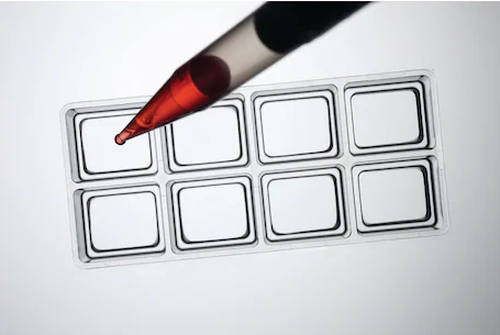 Eppendorf-Cell_Imaging_Slides_och_överglasögon