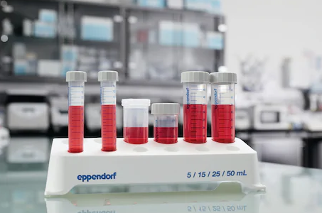 Eppendorf koniska rör 25 mL