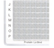 Eppendorf - Protein LoBind-plattor