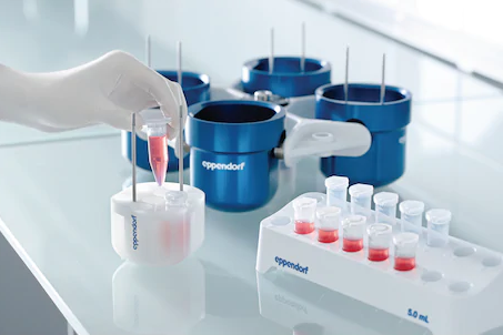 Eppendorf-rör® 5