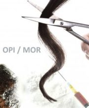 FORENSIS GC-MS-hair analysis Opiates 1_1